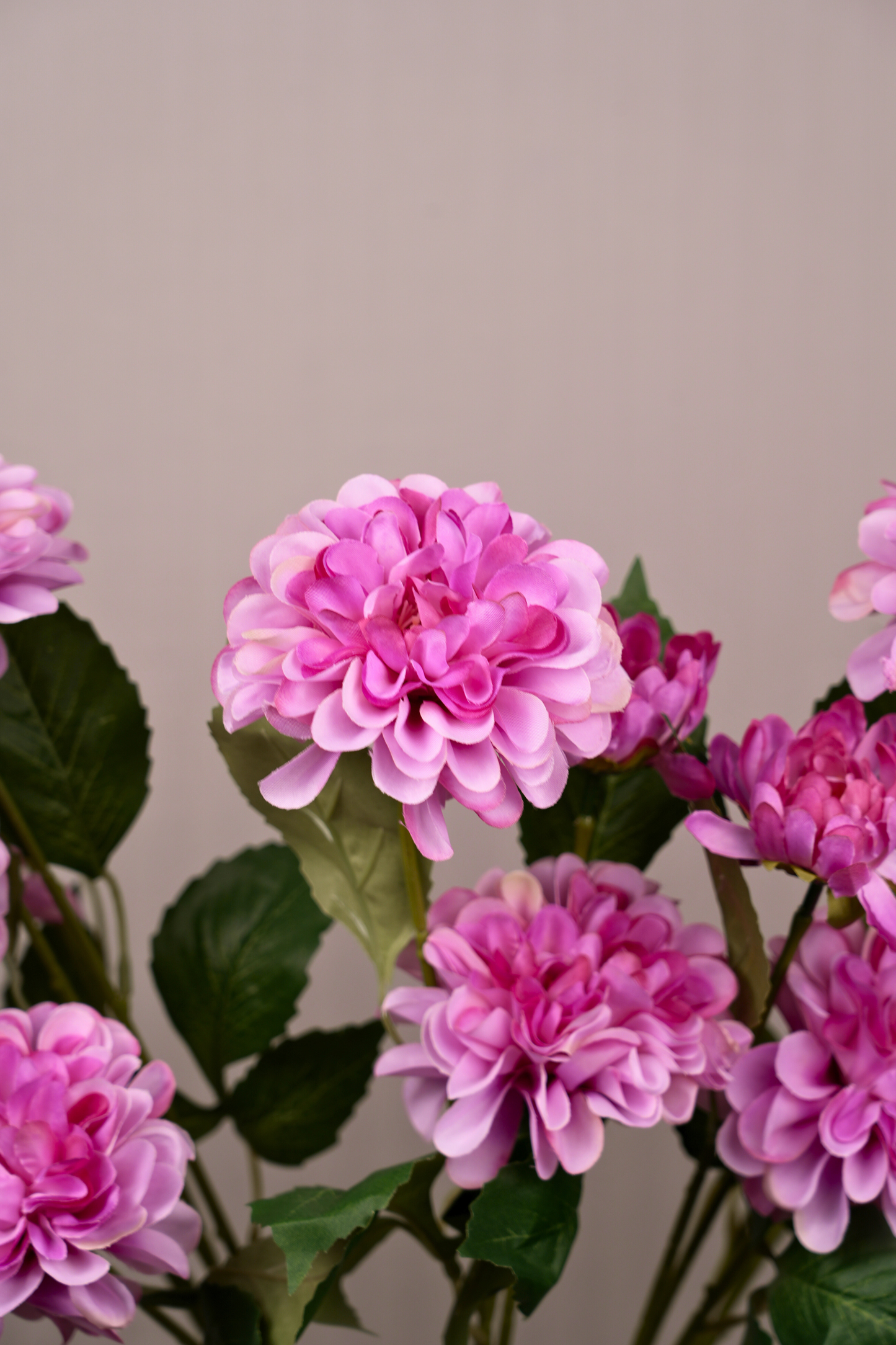 Faux Dahlia Pinnata Regal Flower Stem - Purple