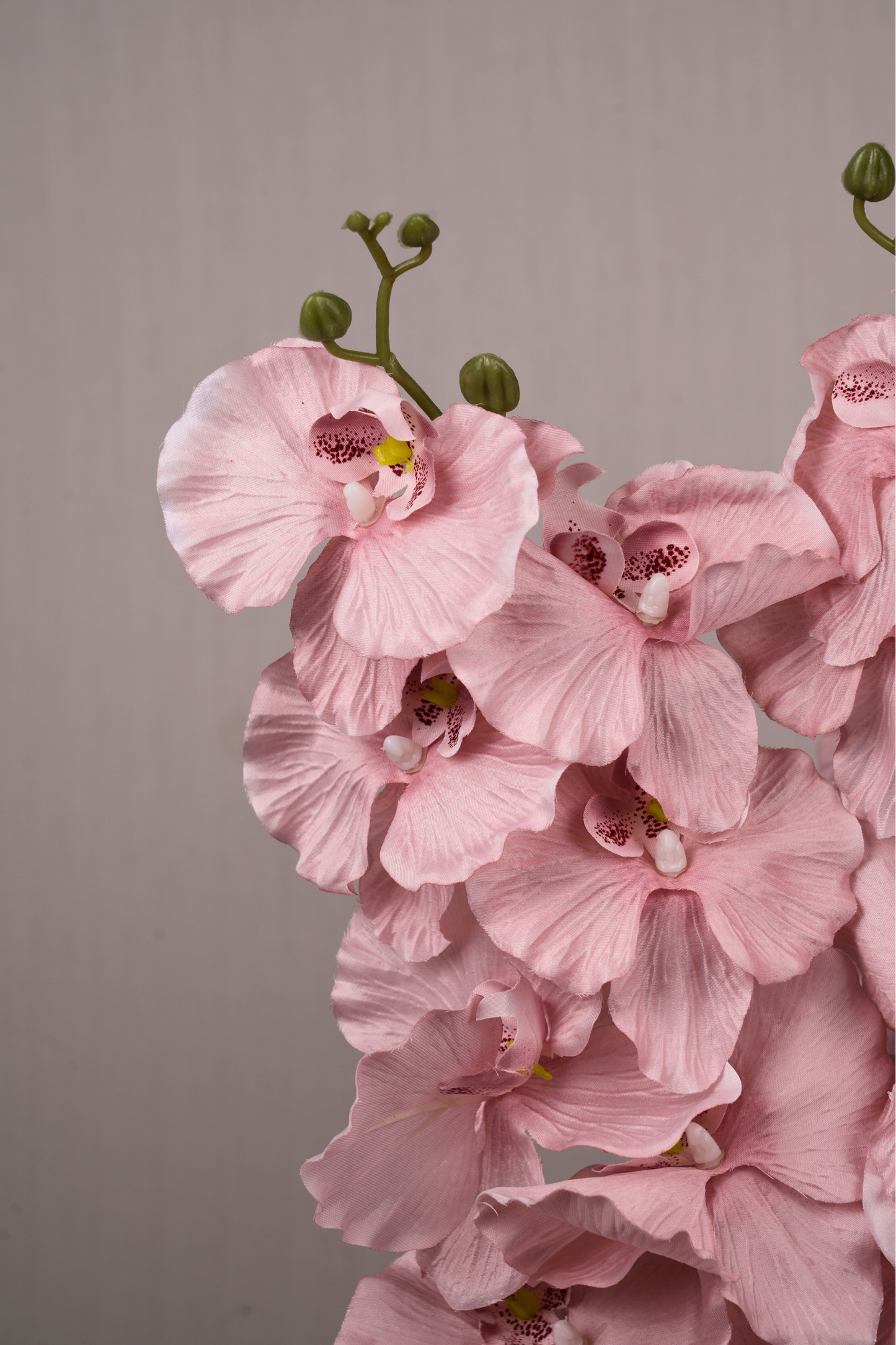 Faux Phalaenopsis Butterfly Orchid Flower Stem - Peach Pink