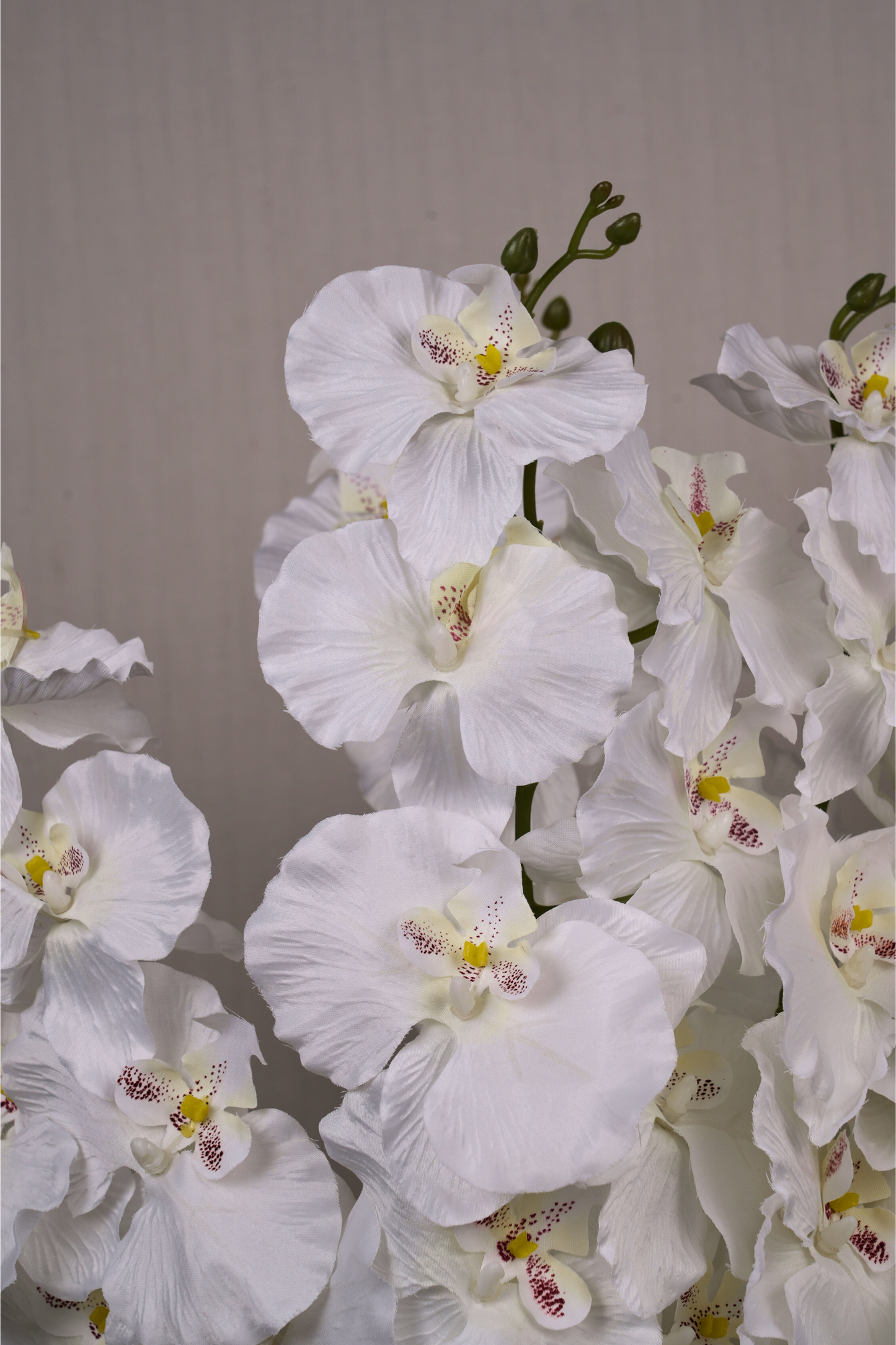 Faux Phalaenopsis Butterfly Orchid Flower Stem - White