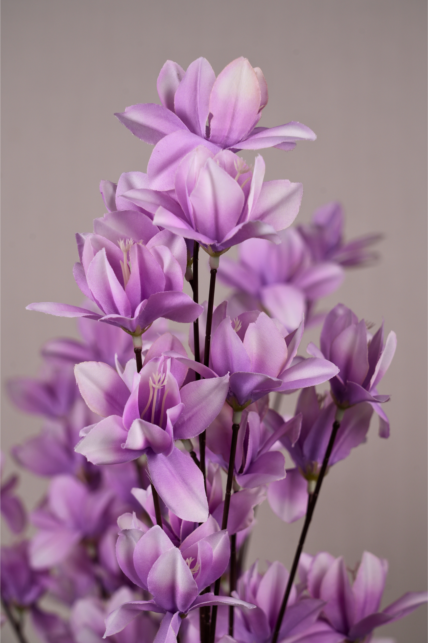 Faux Magnolia Spray Yulan Flower Stem - Lavender