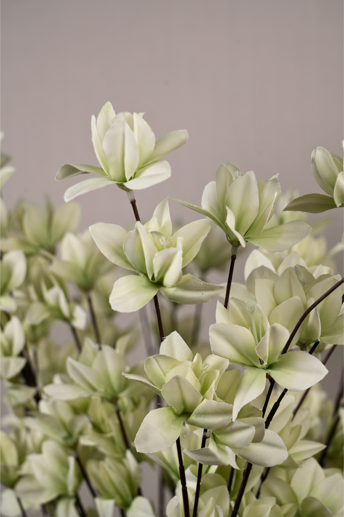 Faux Magnolia Spray Yulan Flower Stem - Mint Green