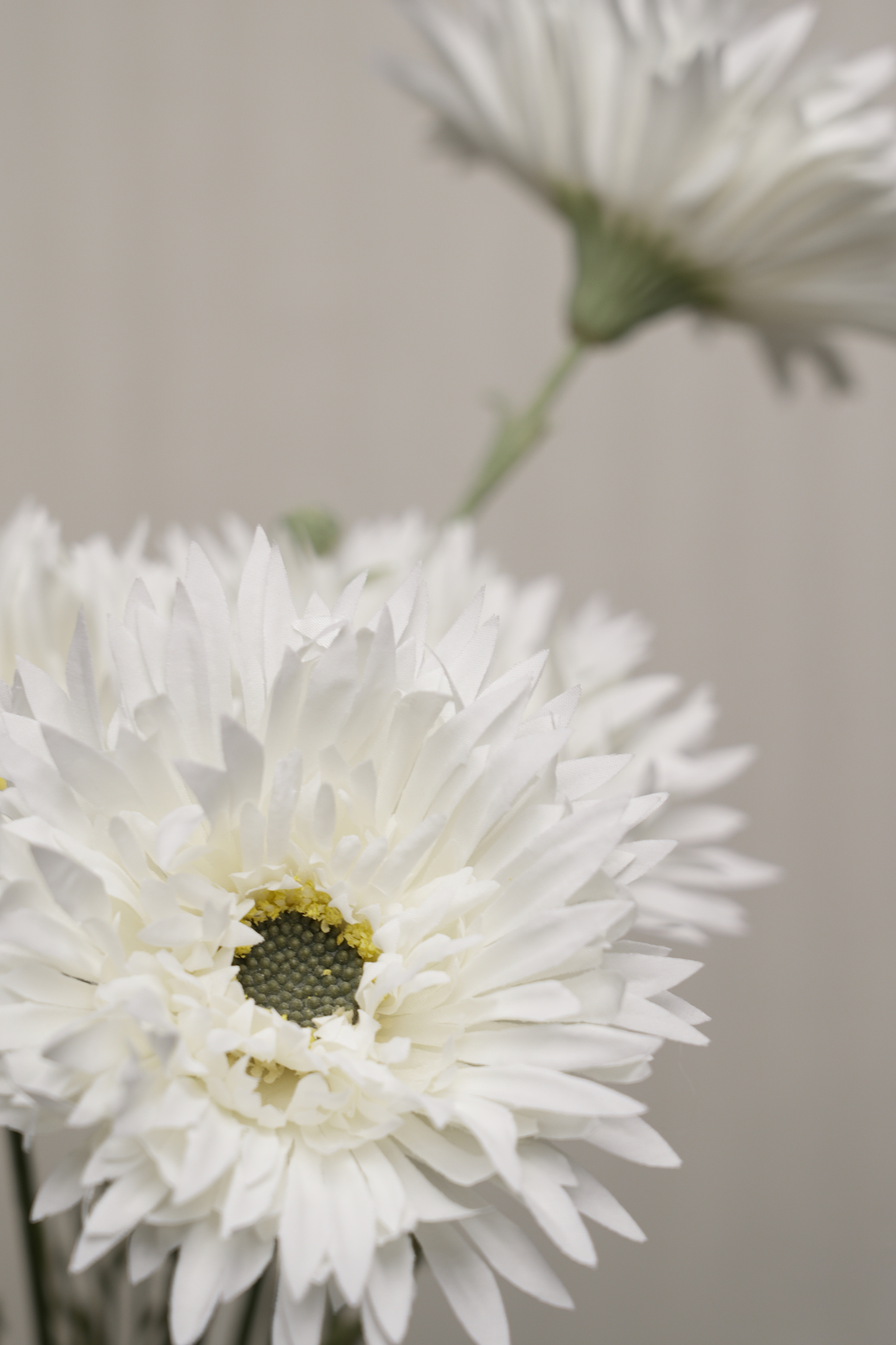 Faux Gerbera Daisy Graceful Flower Stem - Cream