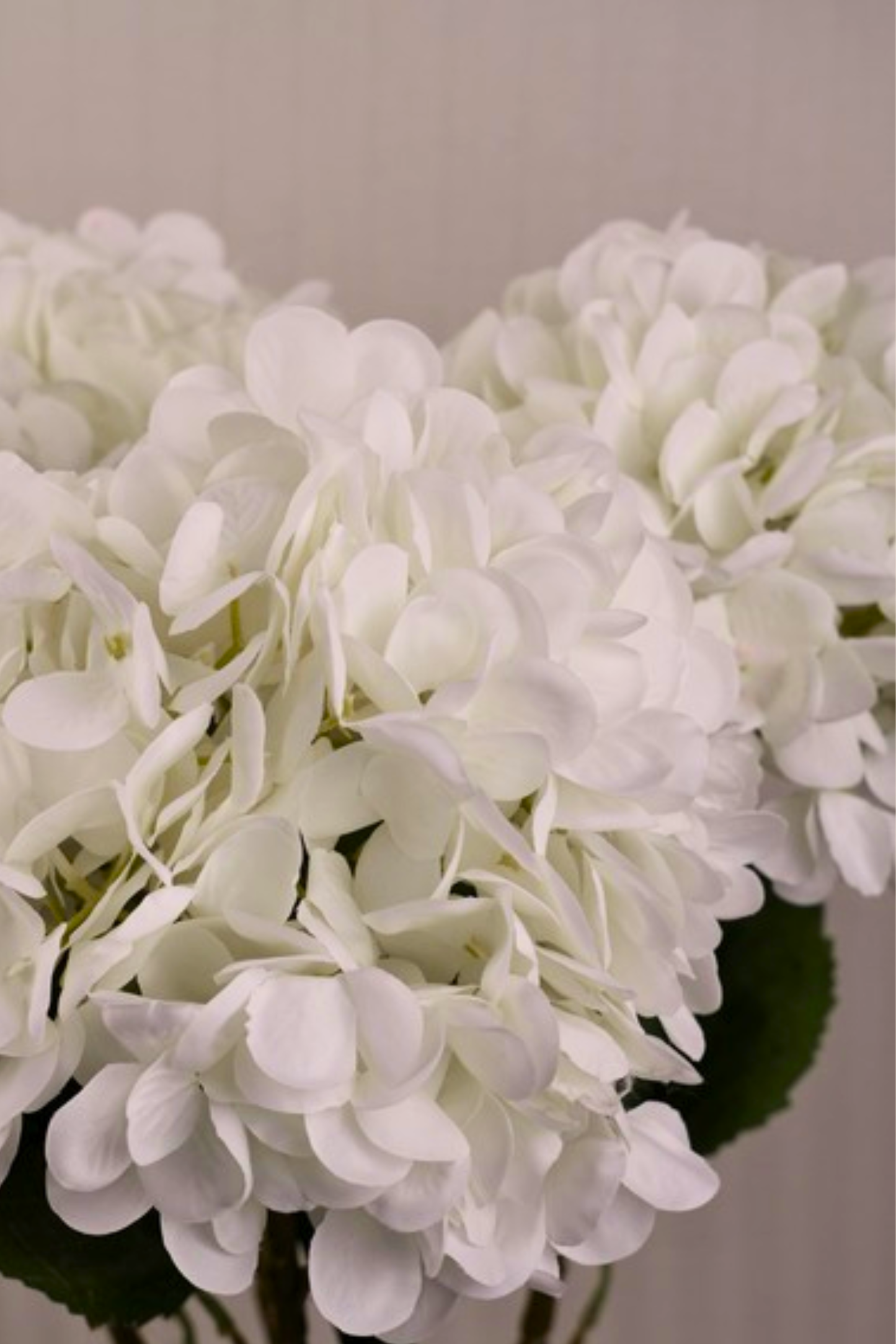 Faux Single Large Hydrangea Classic Flower Stem - White