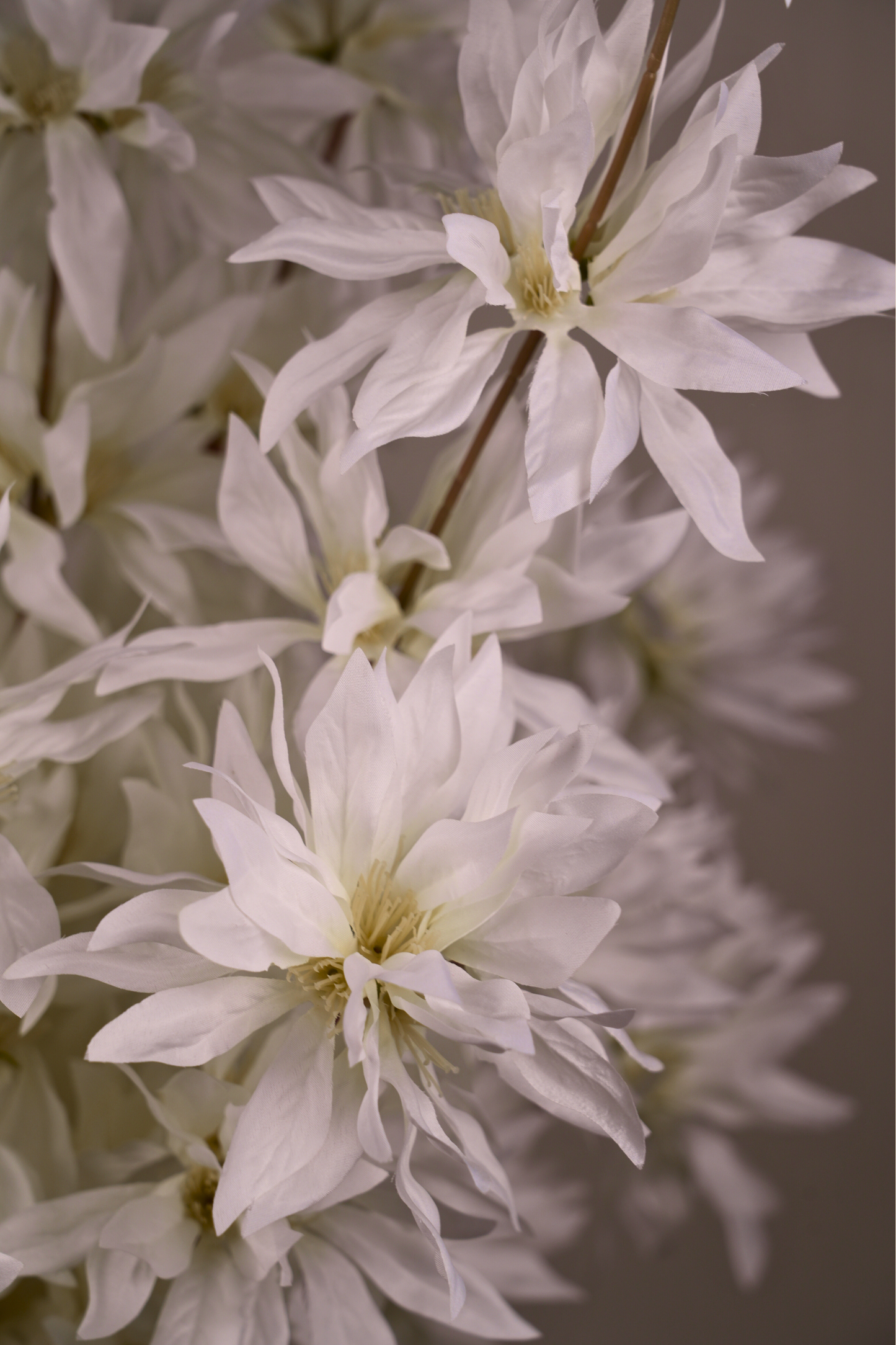 Faux Spider Chrysanthemum Whisper Flower Stem - White