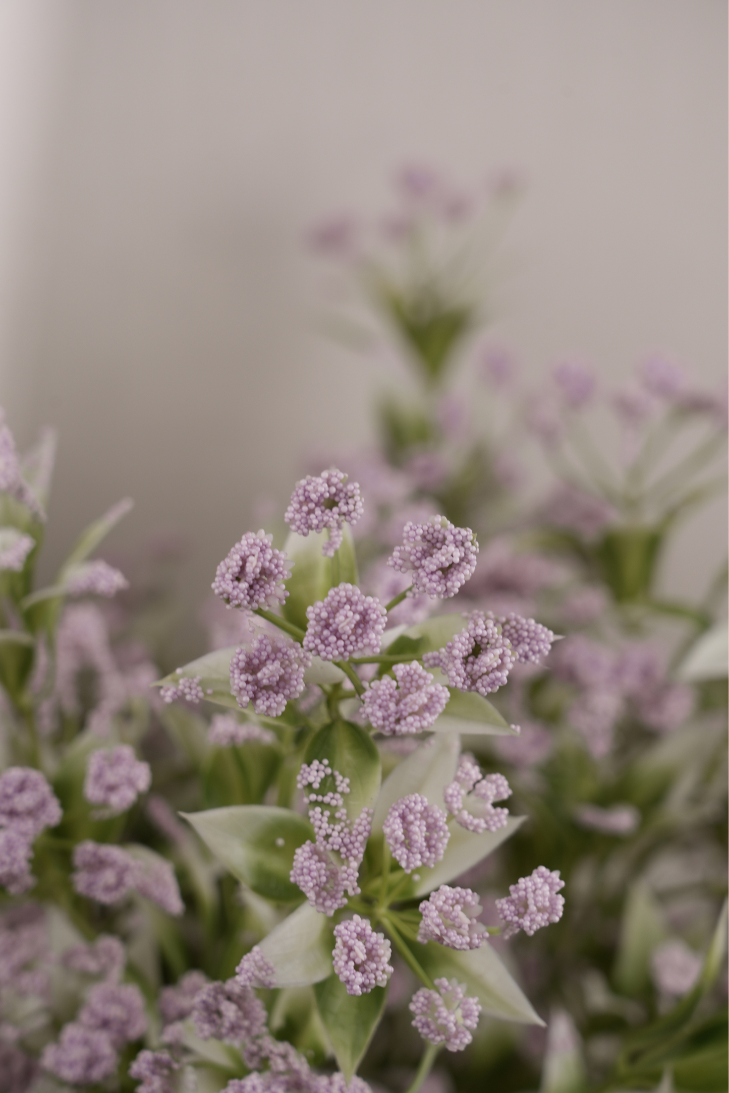 Faux Gypsophila Babys Breath Flower Stem - Lavender