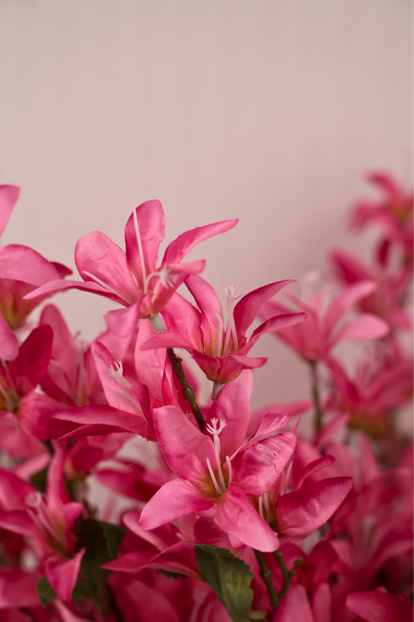 Faux Clematis Spray Star Flower Stem - Dark Pink