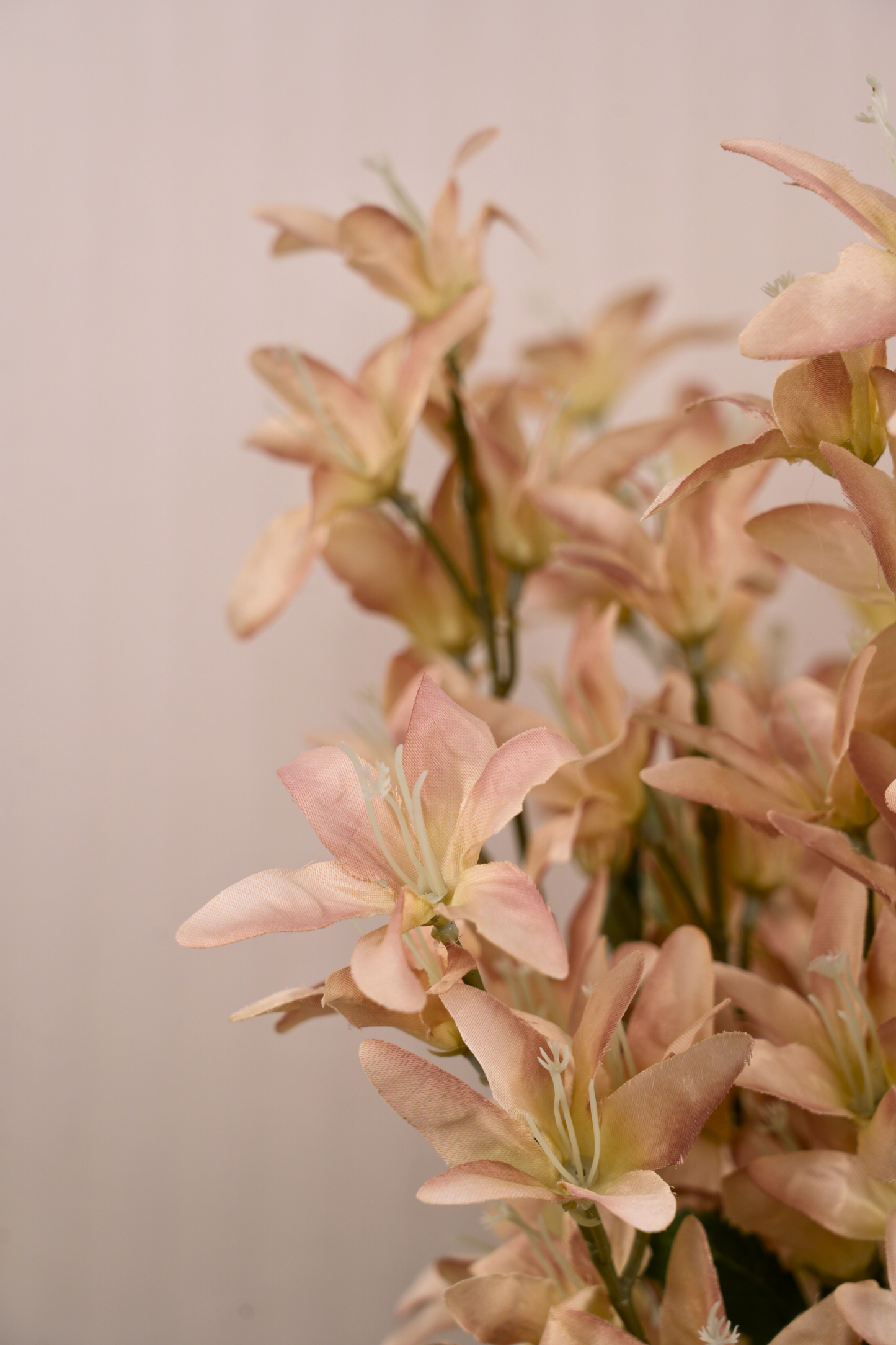 Faux Clematis Spray Star Flower Stem - Light brown