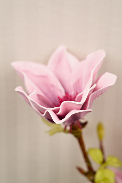 Faux Magnolia Elegant Flower Stem - Mauve