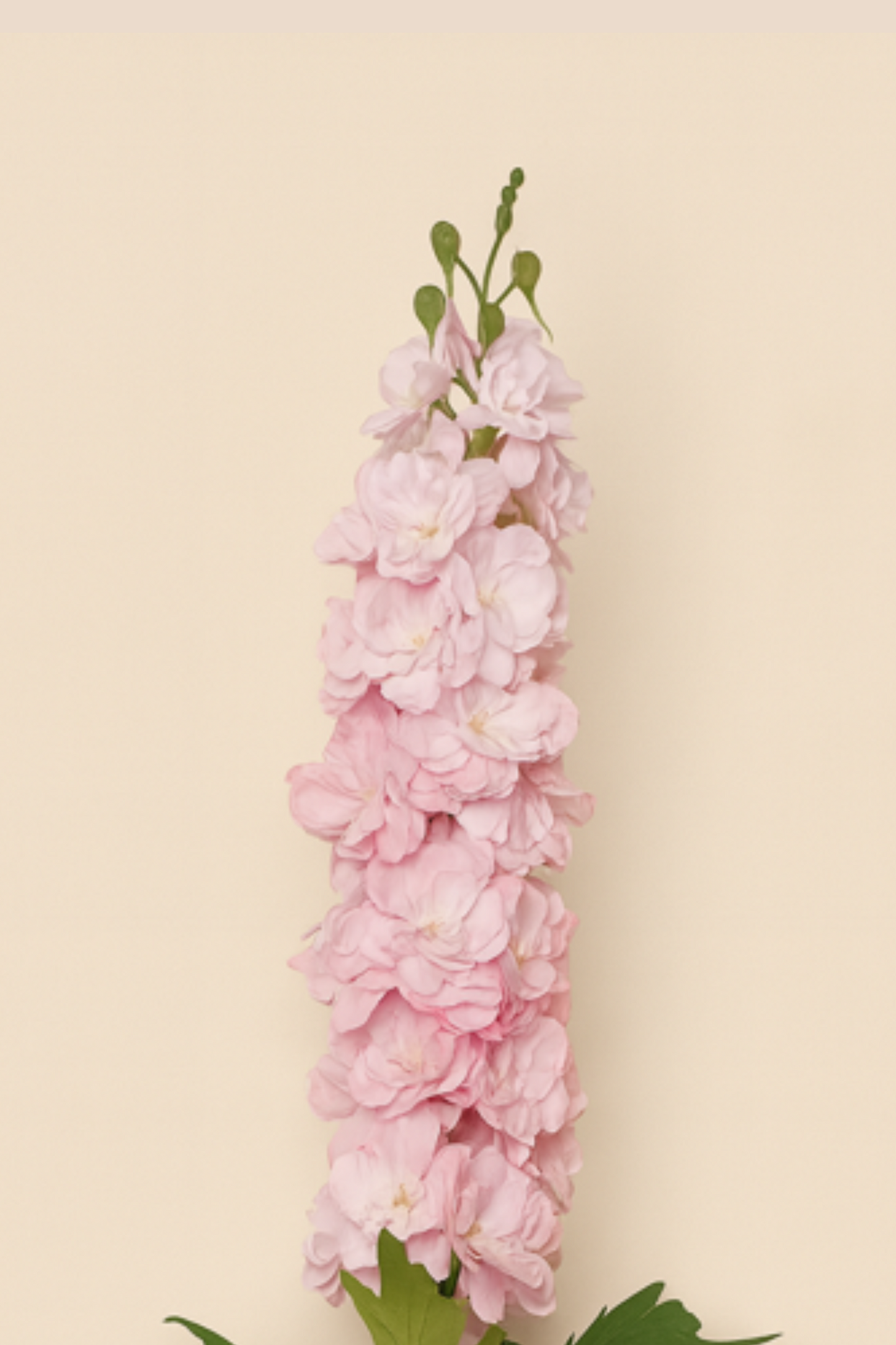 Faux Delphinium Enchanted Flower Stem - Pink