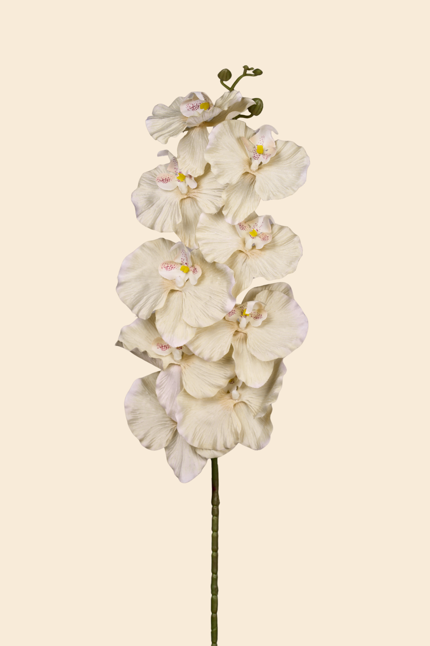 Faux Phalaenopsis Butterfly Orchid Flower Stem - Yellow