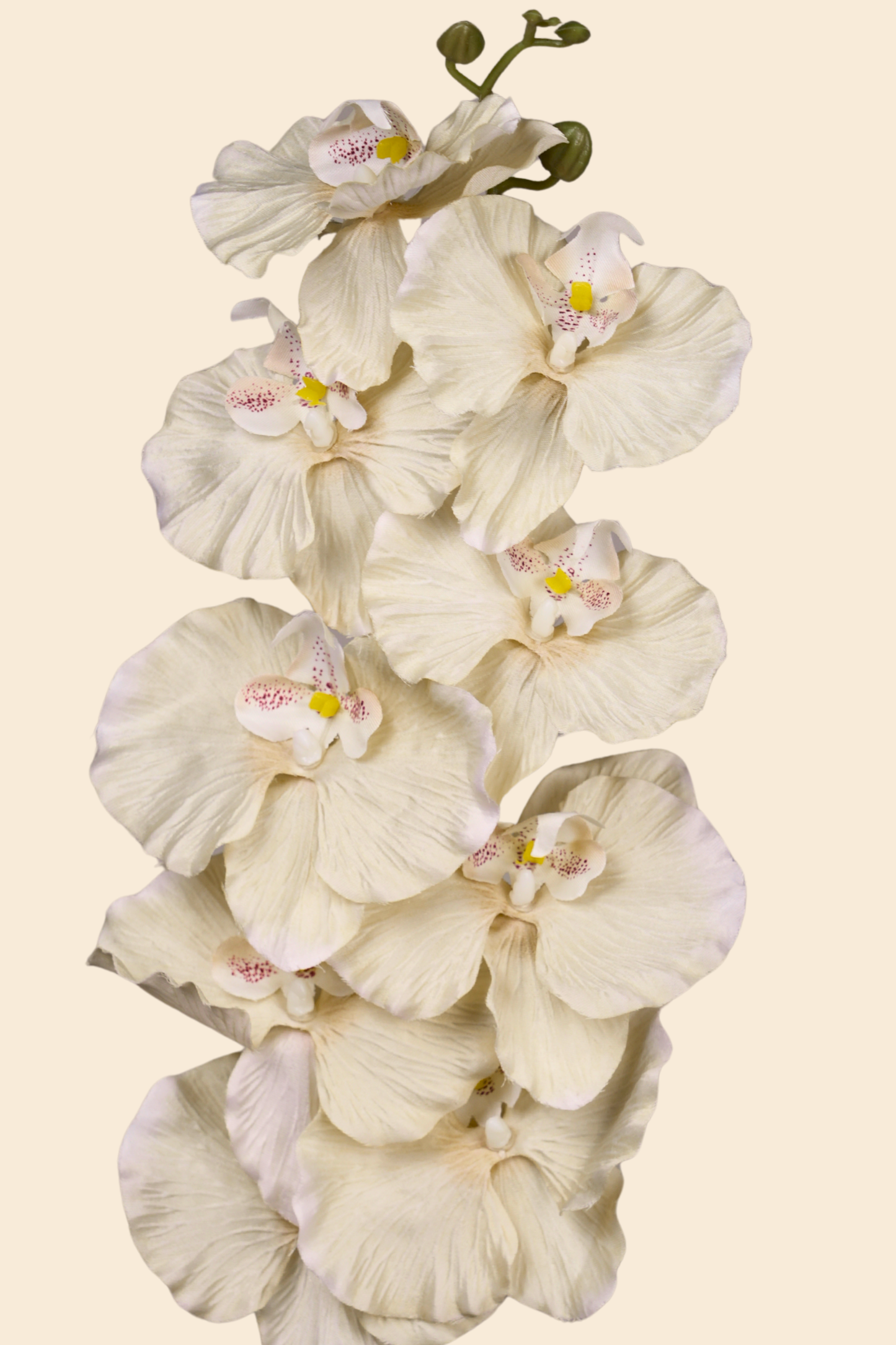 Faux Phalaenopsis Butterfly Orchid Flower Stem - Yellow