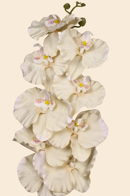 Faux Phalaenopsis Butterfly Orchid Flower Stem - Yellow