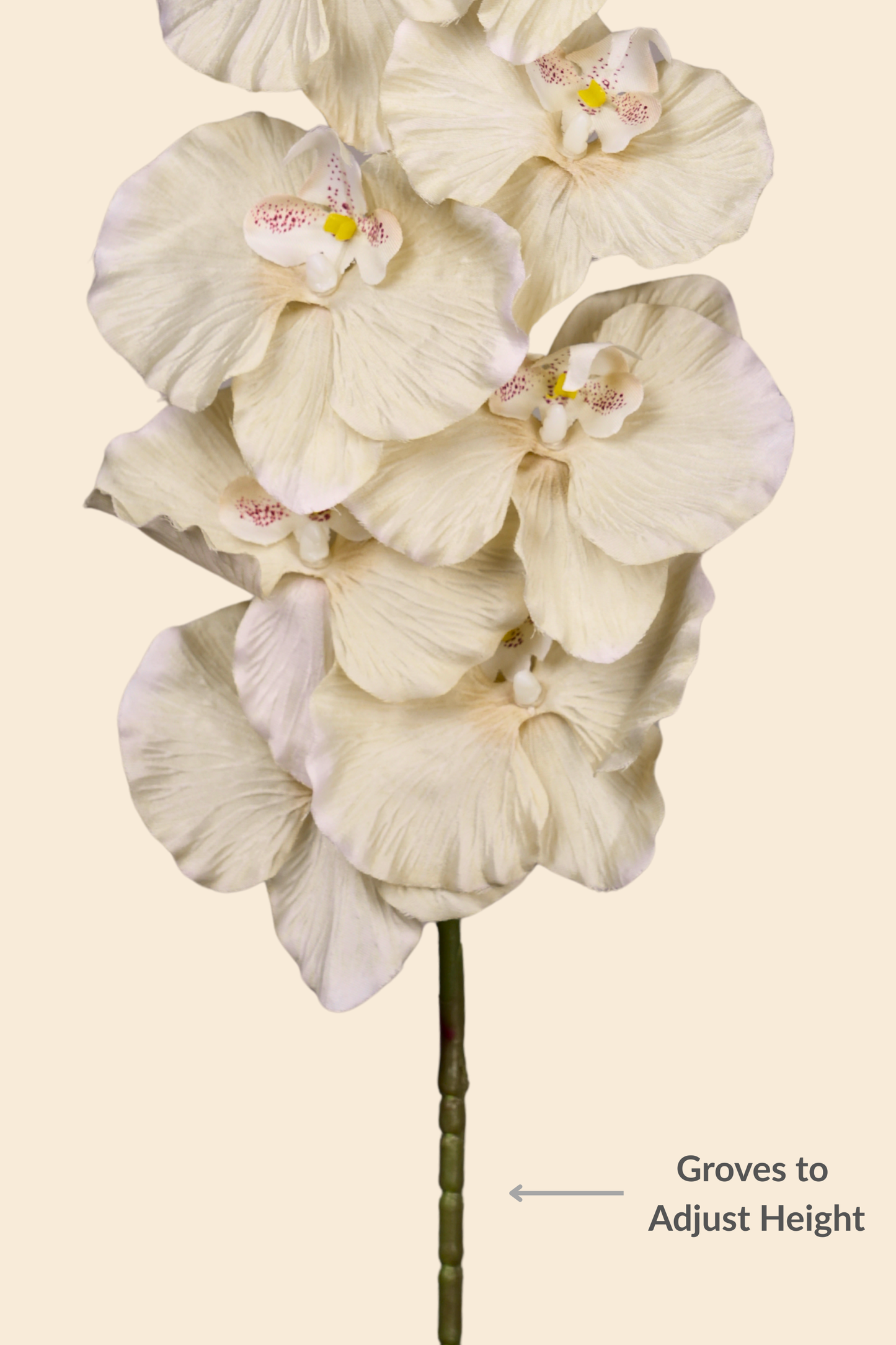 Faux Phalaenopsis Butterfly Orchid Flower Stem - Yellow