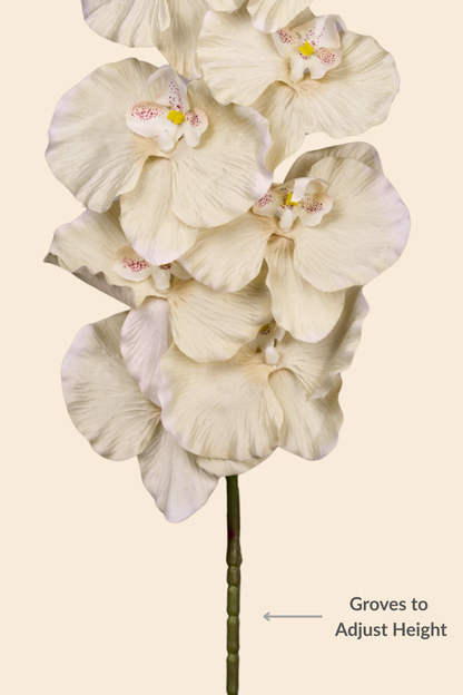 Faux Phalaenopsis Butterfly Orchid Flower Stem - Yellow