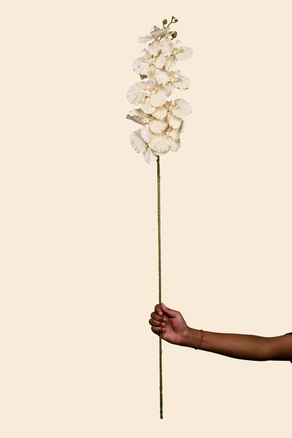 Faux Phalaenopsis Butterfly Orchid Flower Stem - Yellow