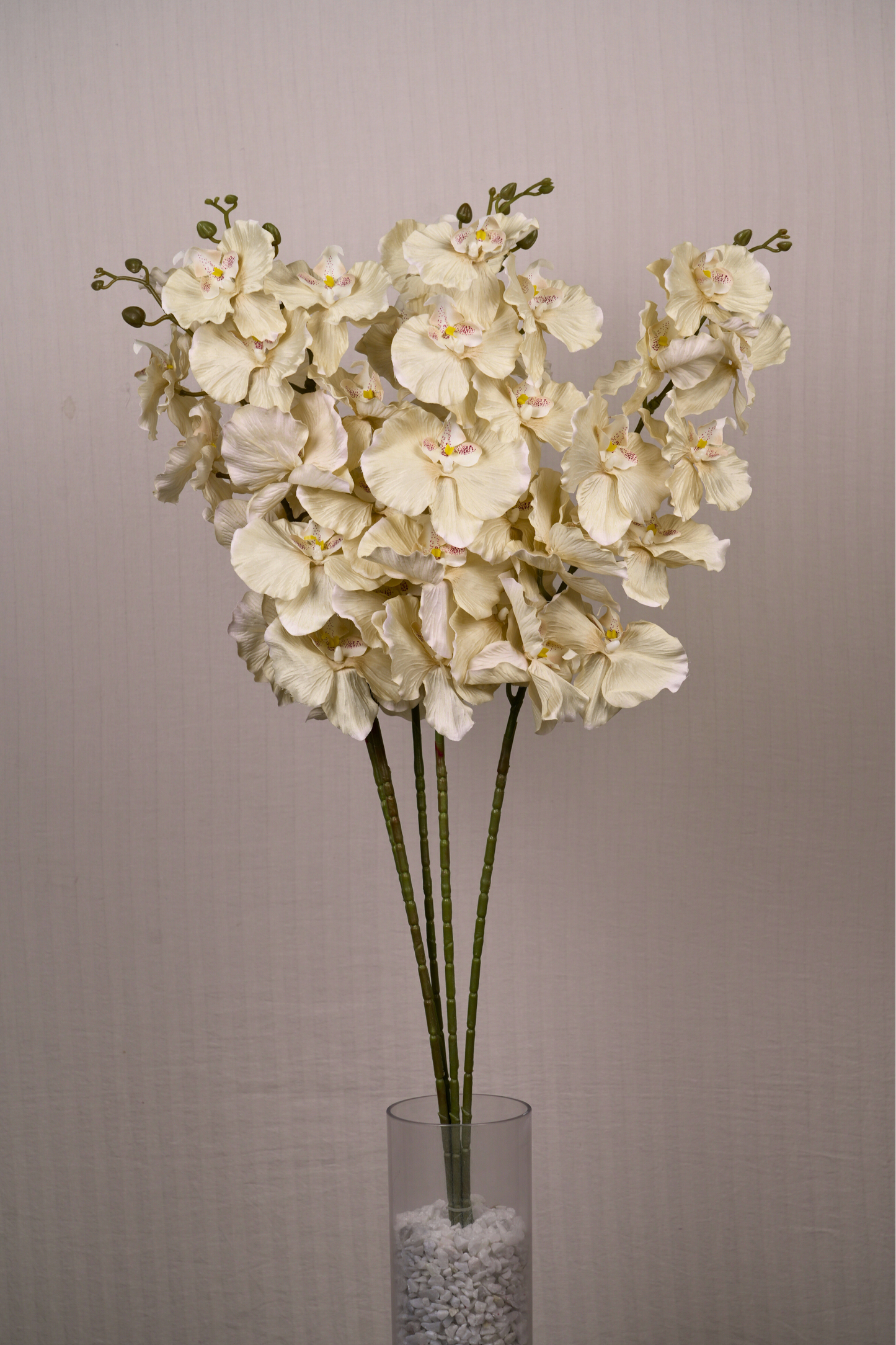 Faux Phalaenopsis Butterfly Orchid Flower Stem - Yellow