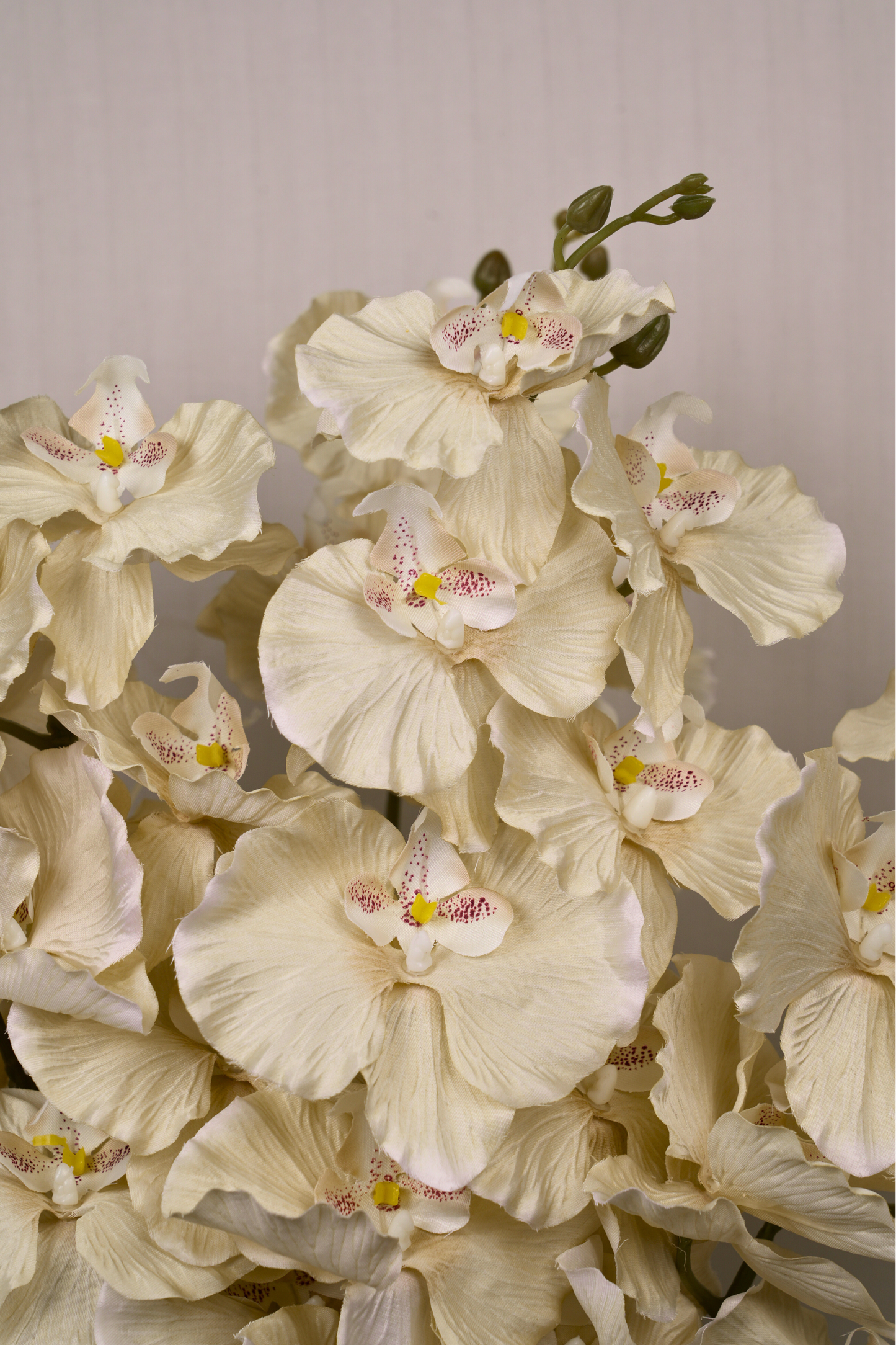 Faux Phalaenopsis Butterfly Orchid Flower Stem - Yellow