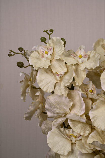 Faux Phalaenopsis Butterfly Orchid Flower Stem - Yellow