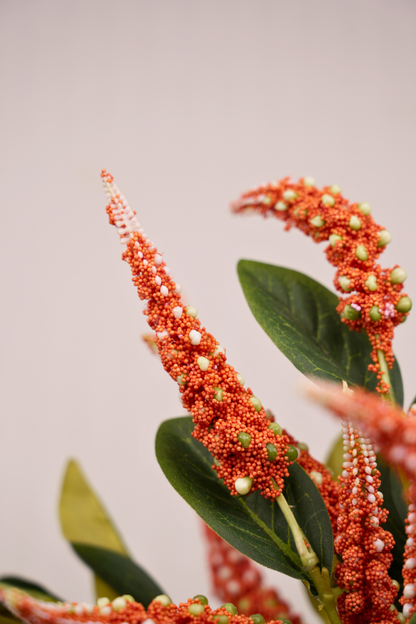 Faux Foxtail Amaranth Vibrant Flower Stem - Orange