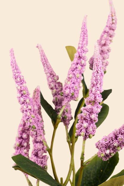 Faux Foxtail Amaranth Vibrant Flower Stem - Lavender
