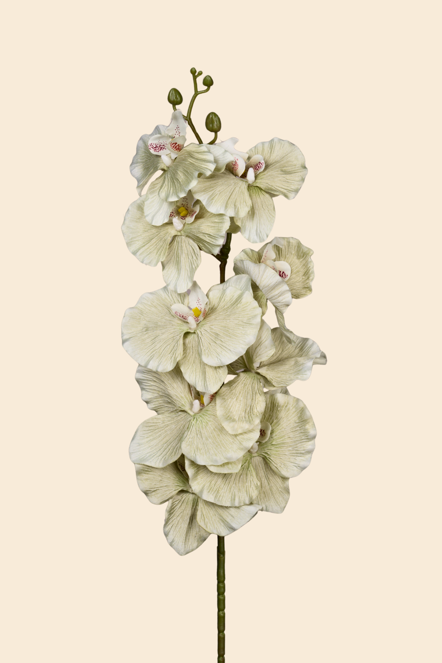 Faux Phalaenopsis Butterfly Orchid Flower Stem - Mint Green