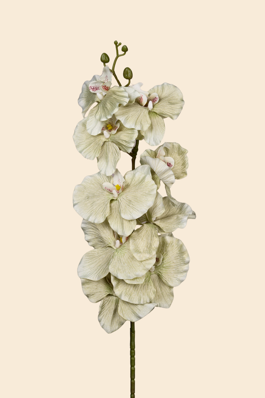 Faux Phalaenopsis Butterfly Orchid Flower Stem - Mint Green