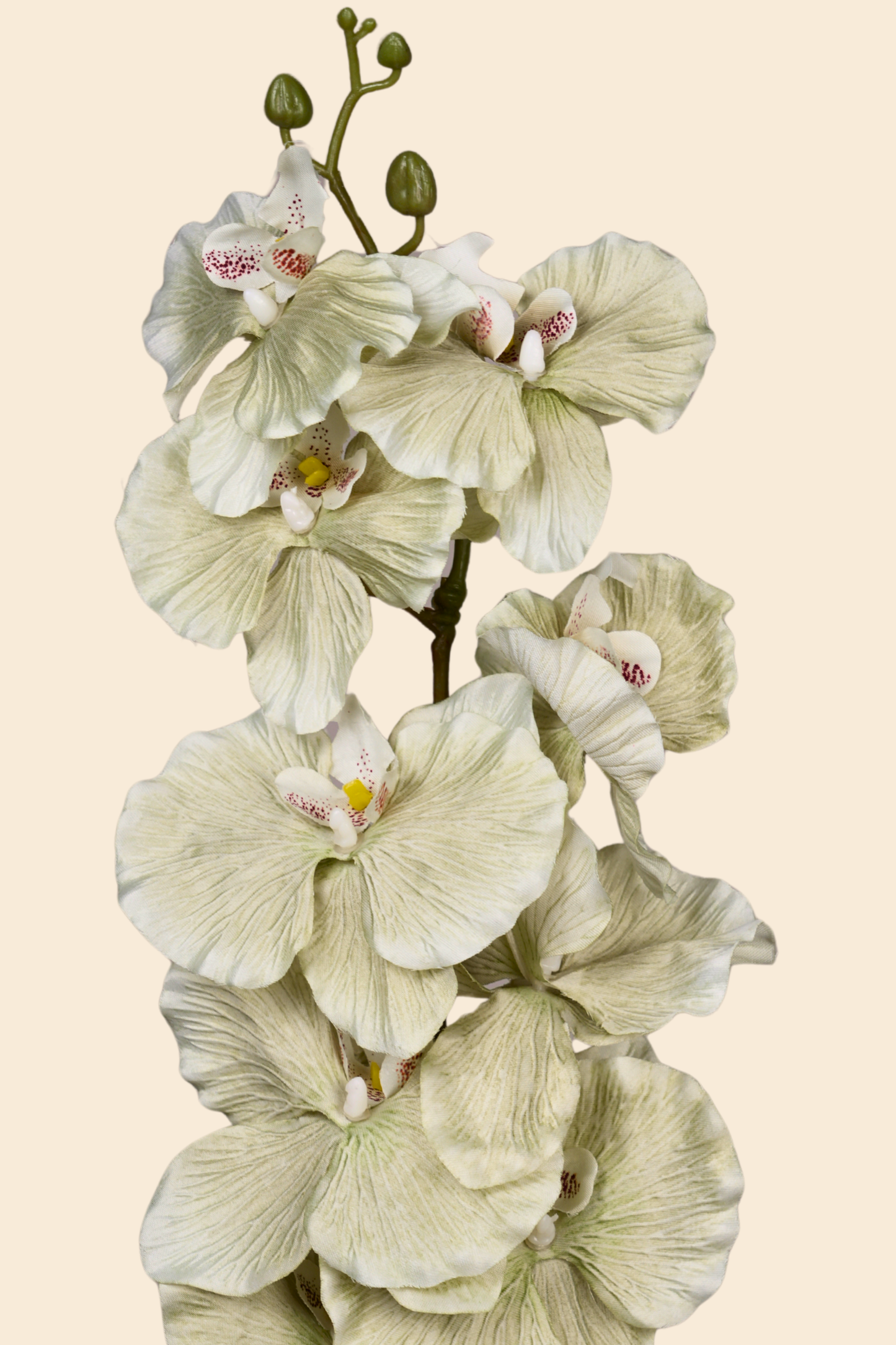 Faux Phalaenopsis Butterfly Orchid Flower Stem - Mint Green
