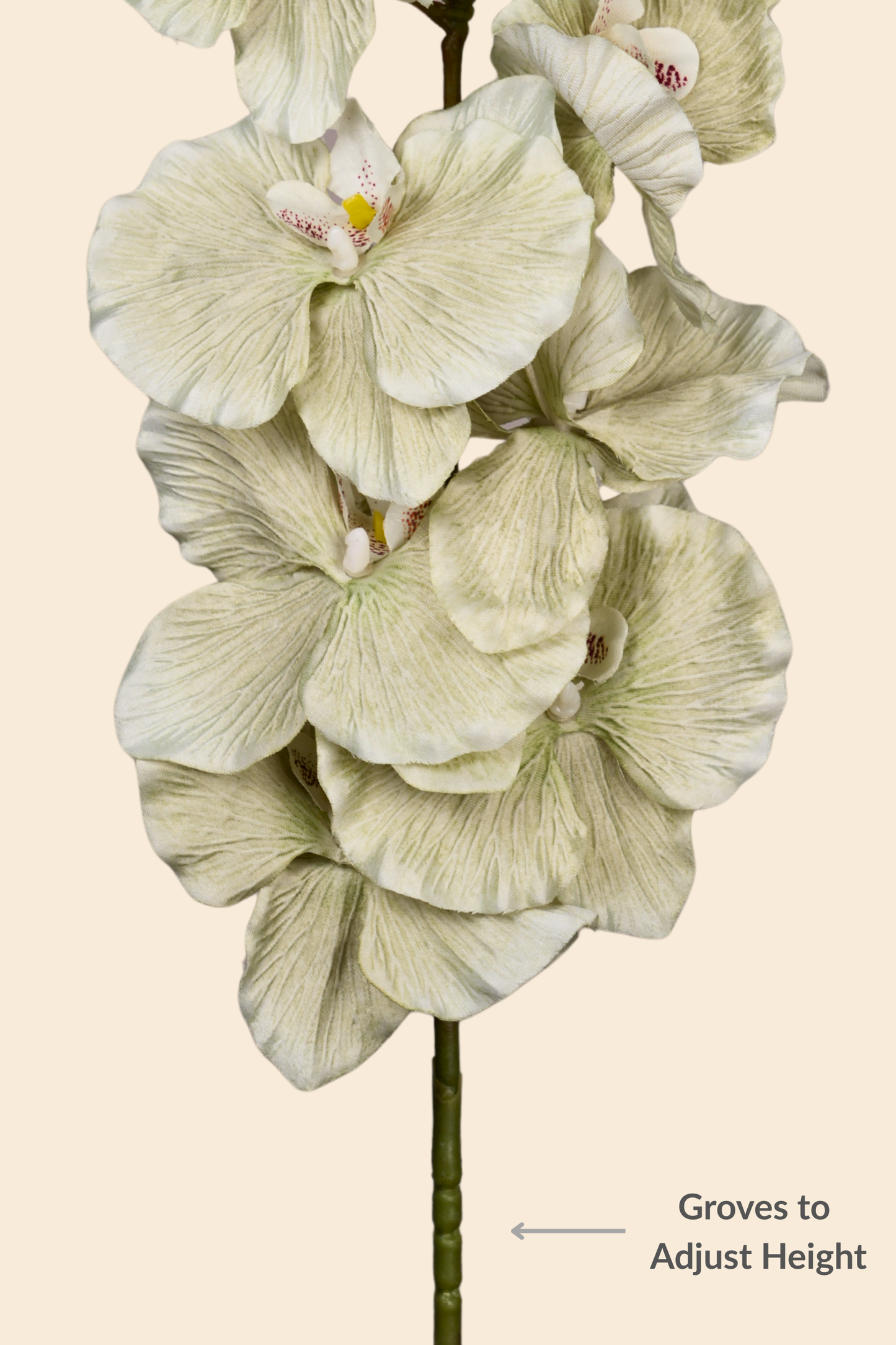 Faux Phalaenopsis Butterfly Orchid Flower Stem - Mint Green