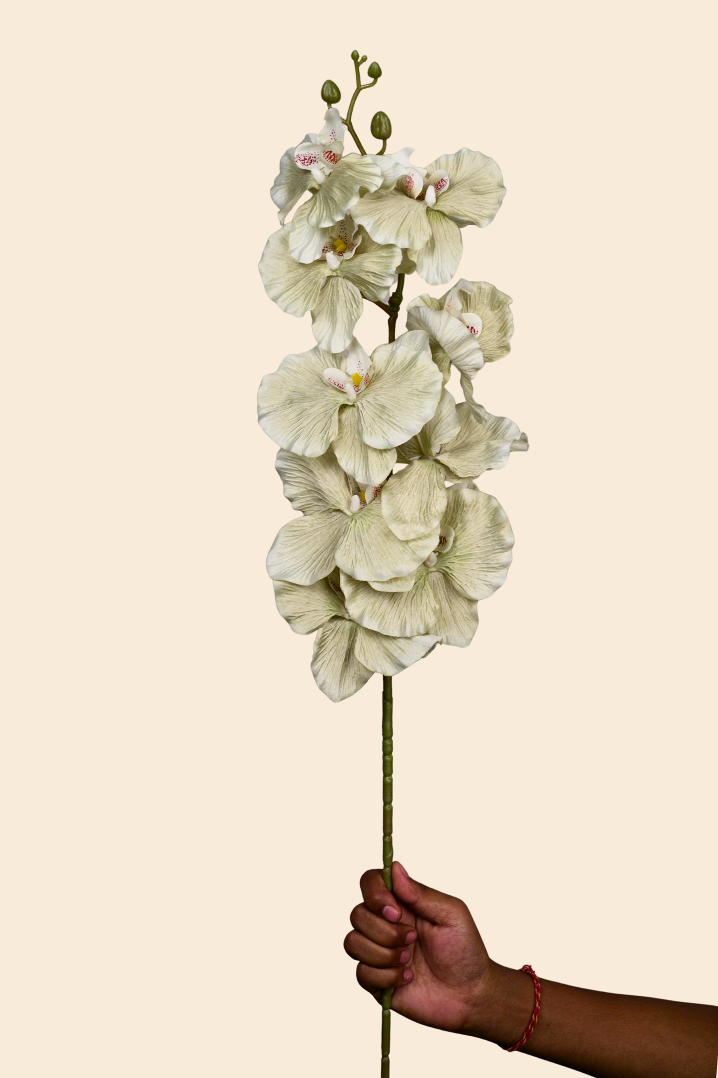 Faux Phalaenopsis Butterfly Orchid Flower Stem - Mint Green