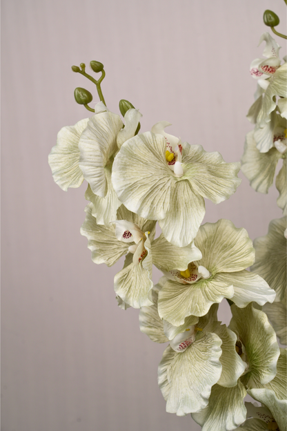 Faux Phalaenopsis Butterfly Orchid Flower Stem - Mint Green