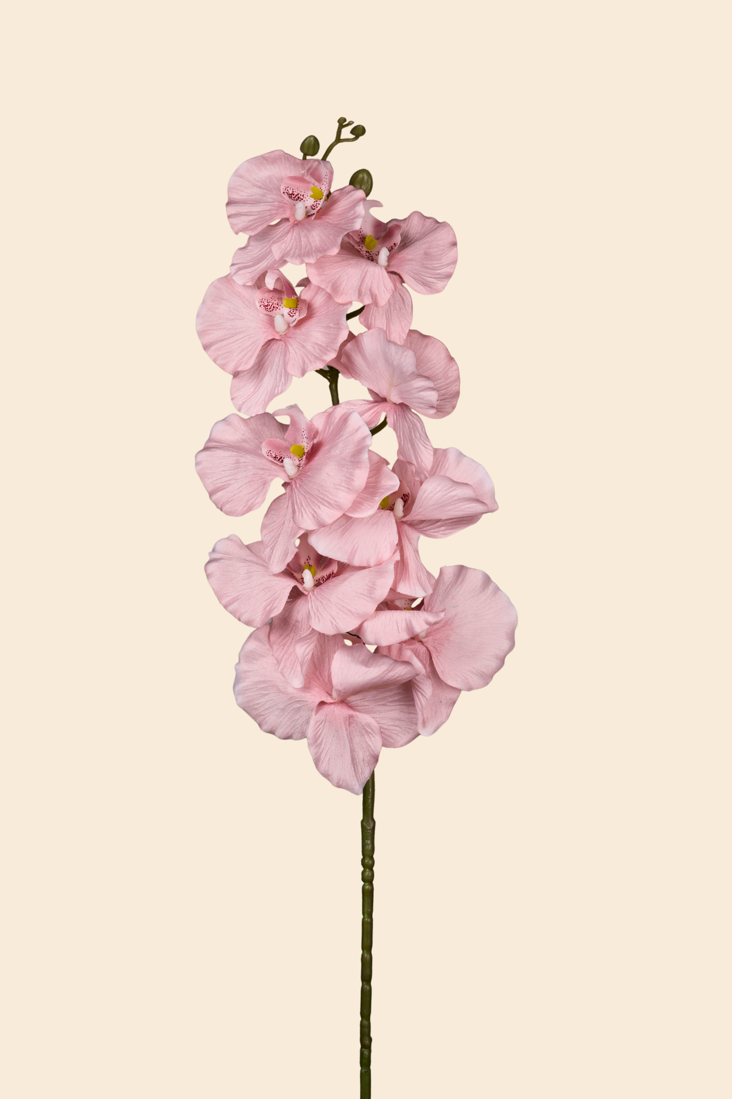 Faux Phalaenopsis Butterfly Orchid Flower Stem - Peach Pink