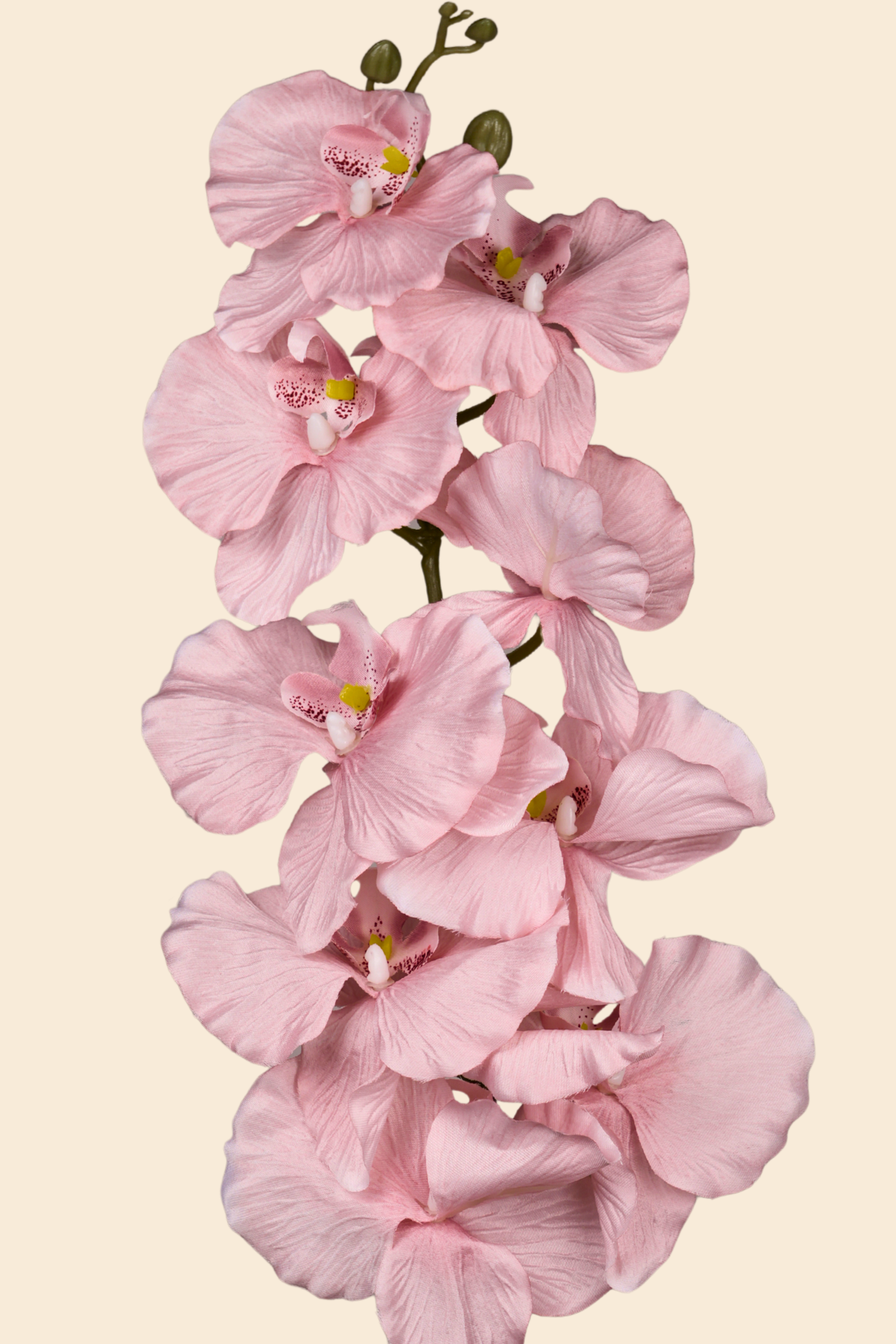 Faux Phalaenopsis Butterfly Orchid Flower Stem - Peach Pink