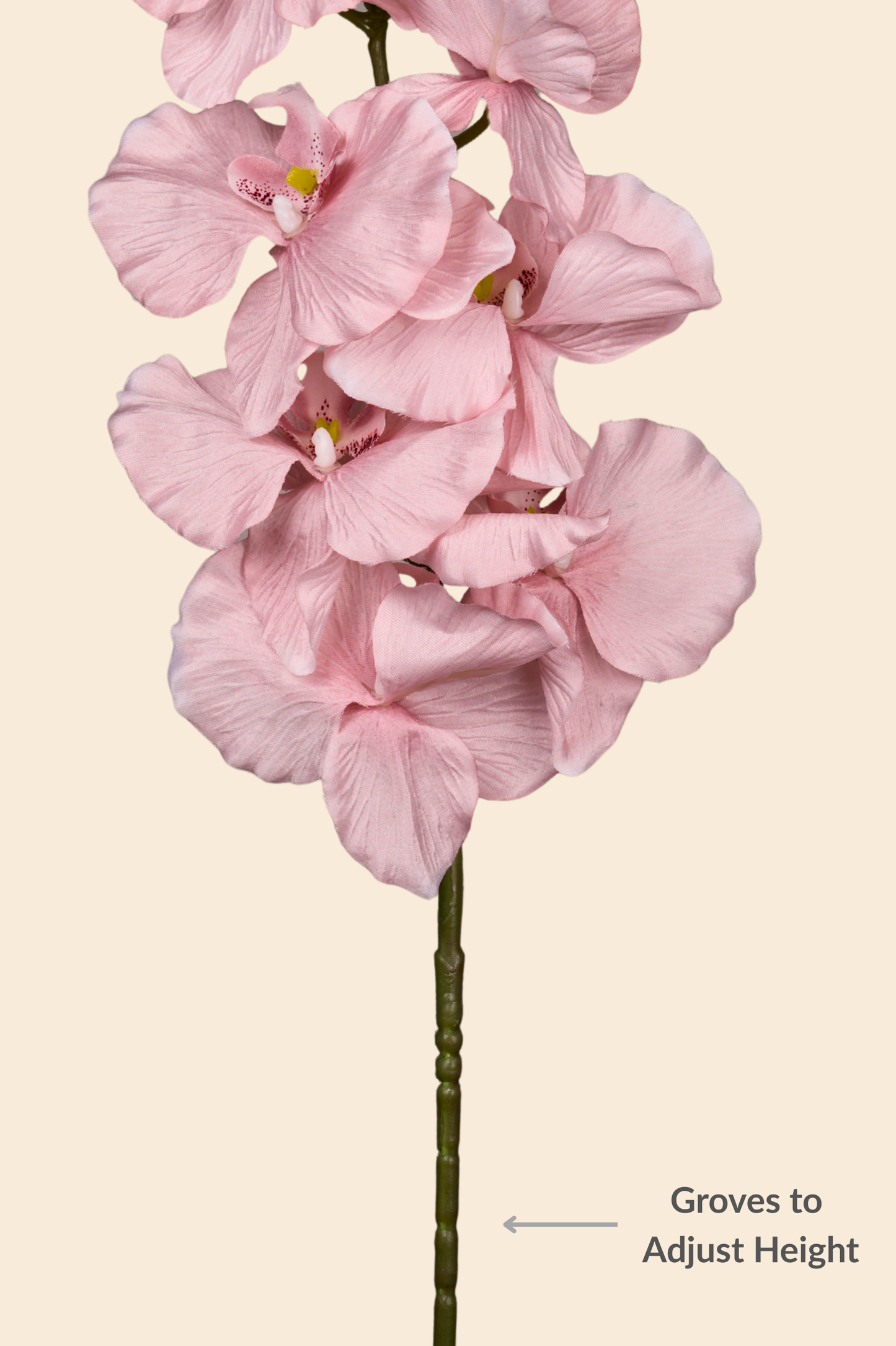 Faux Phalaenopsis Butterfly Orchid Flower Stem - Peach Pink