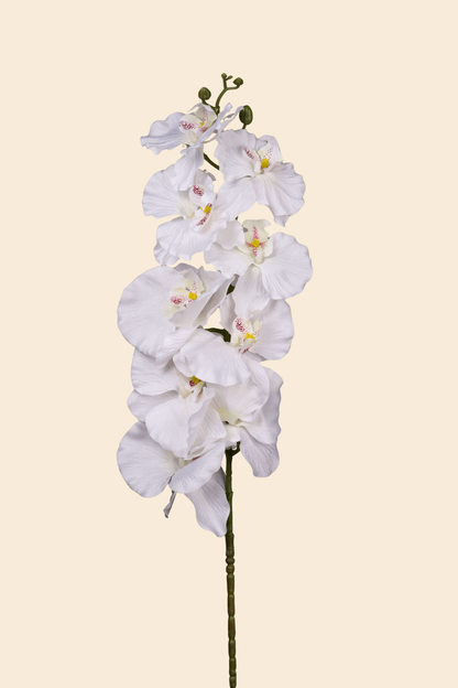 Faux Phalaenopsis Butterfly Orchid Flower Stem - White