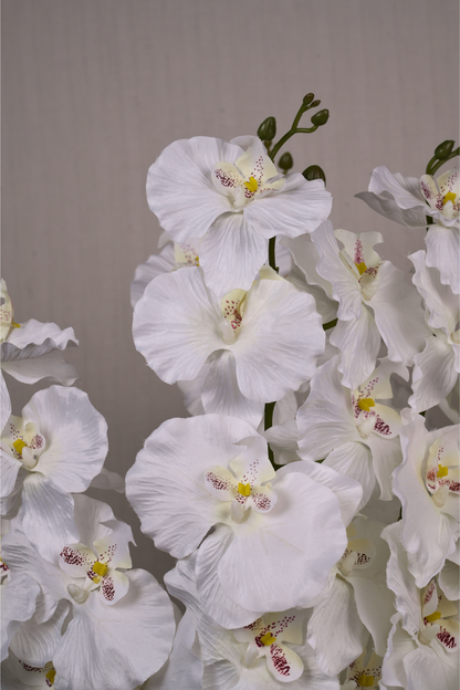Faux Phalaenopsis Butterfly Orchid Flower Stem - White