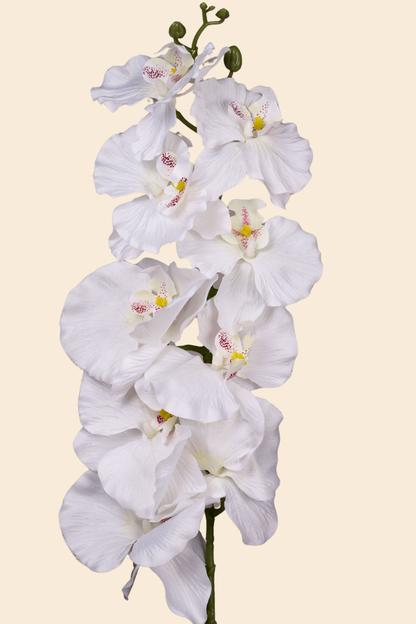 Faux Phalaenopsis Butterfly Orchid Flower Stem - White