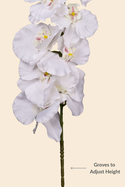 Faux Phalaenopsis Butterfly Orchid Flower Stem - White