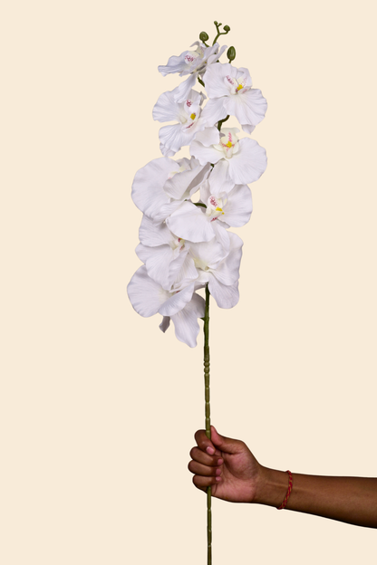 Faux Phalaenopsis Butterfly Orchid Flower Stem - White