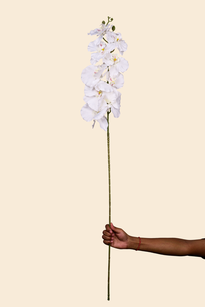 Faux Phalaenopsis Butterfly Orchid Flower Stem - White