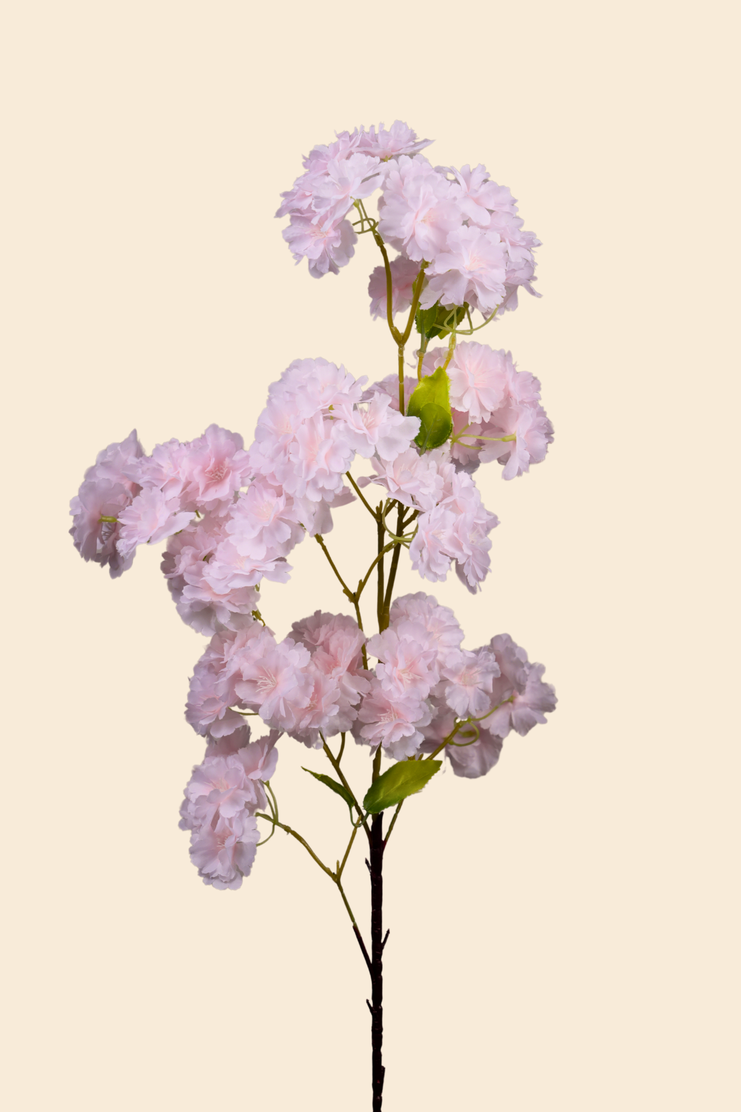Faux Cherry Blossom Sakura Flower Stem - White