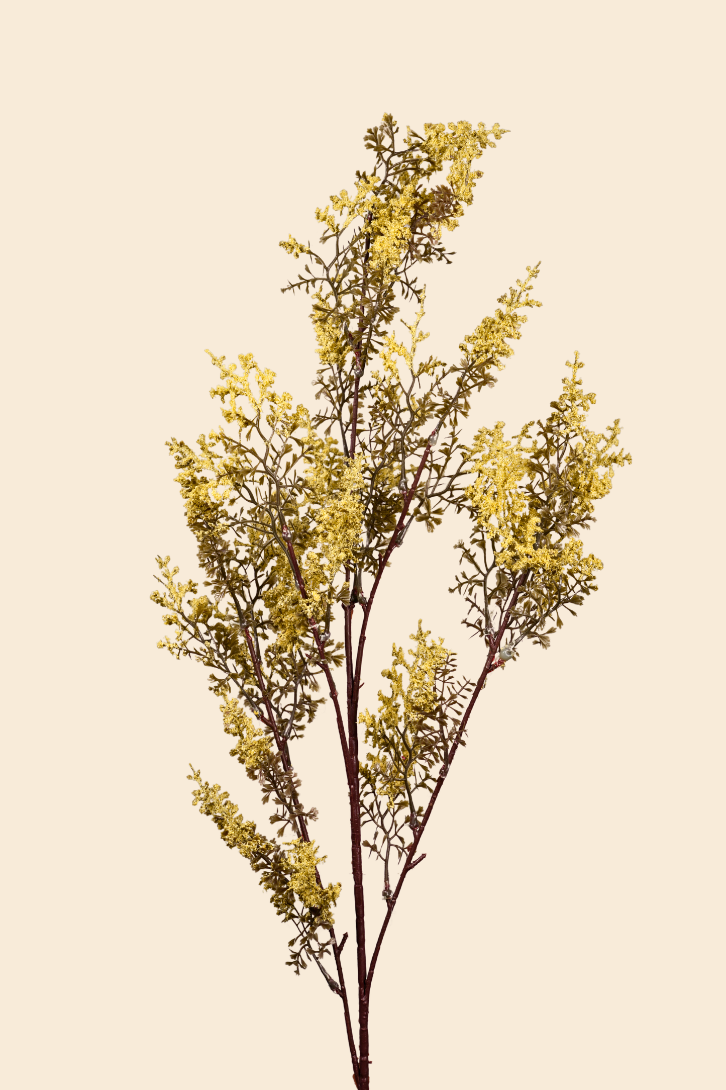Faux Limonium Dried Bloom Flower Stem - Yellow