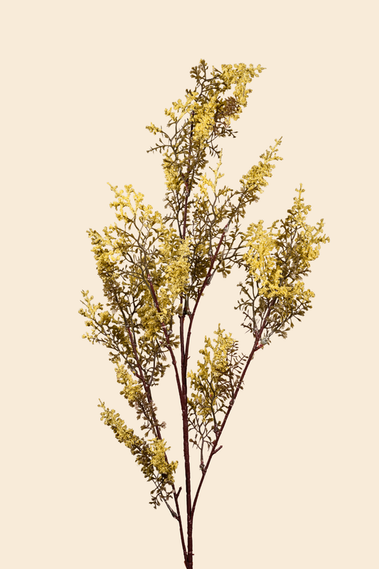 Faux Limonium Dried Bloom Flower Stem - Yellow