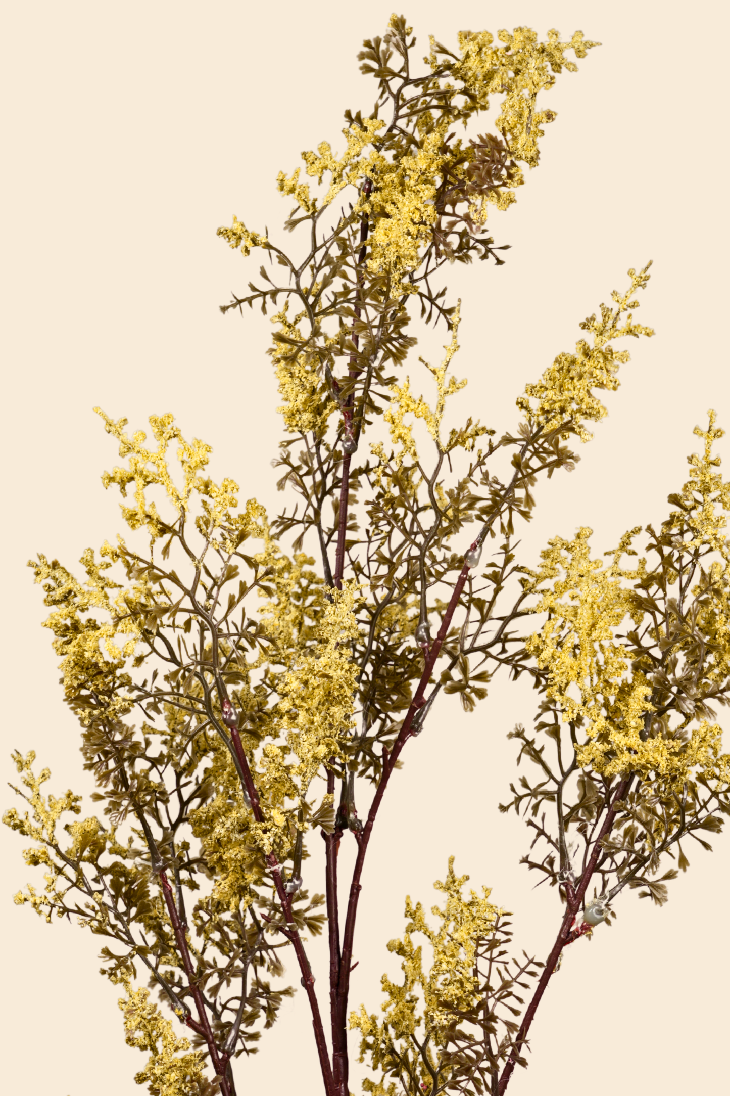 Faux Limonium Dried Bloom Flower Stem - Yellow