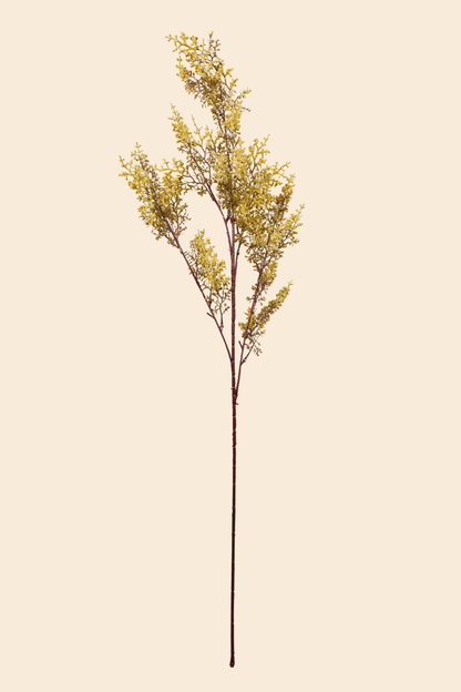 Faux Limonium Dried Bloom Flower Stem - Yellow
