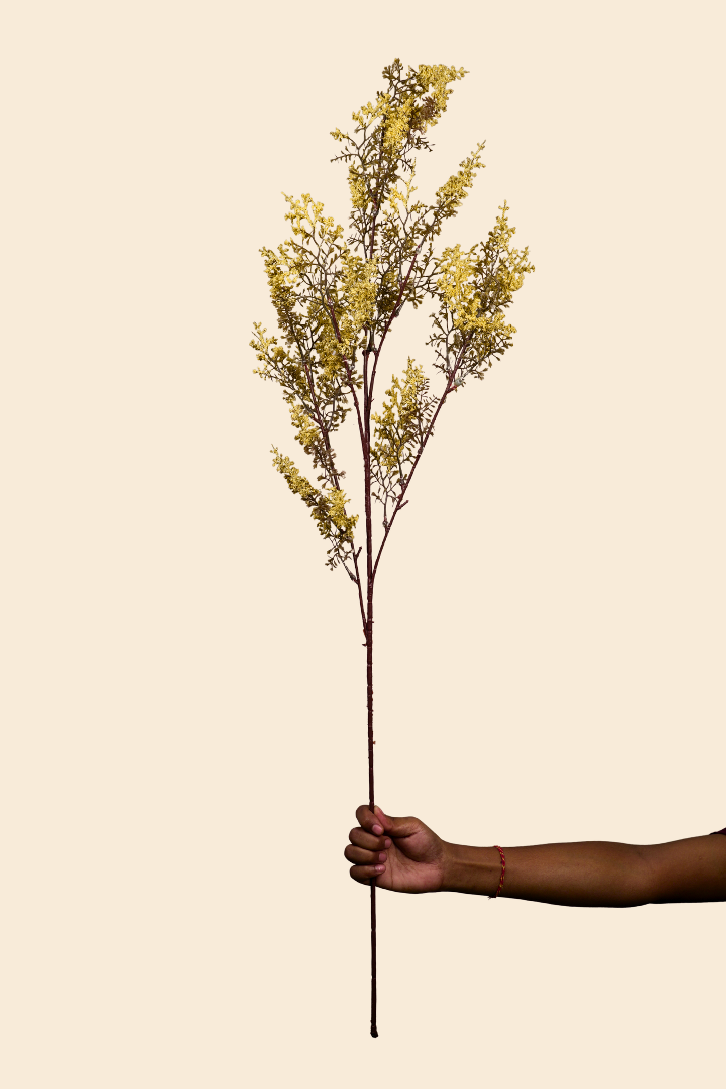 Faux Limonium Dried Bloom Flower Stem - Yellow