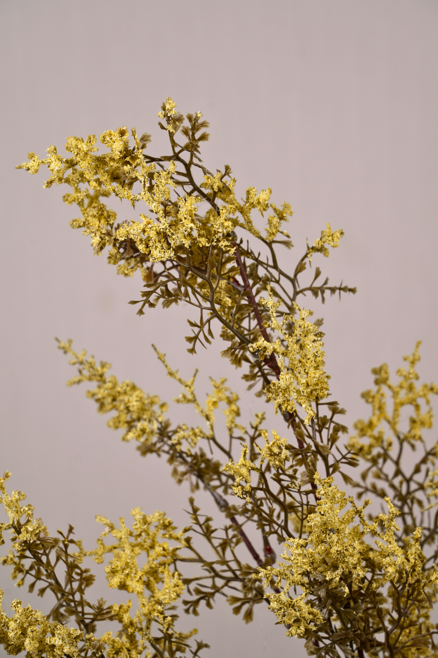 Faux Limonium Dried Bloom Flower Stem - Yellow