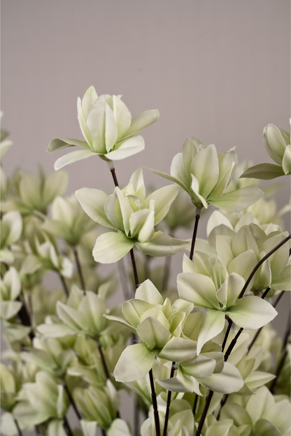 Faux Magnolia Spray Yulan Flower Stem - Mint Green