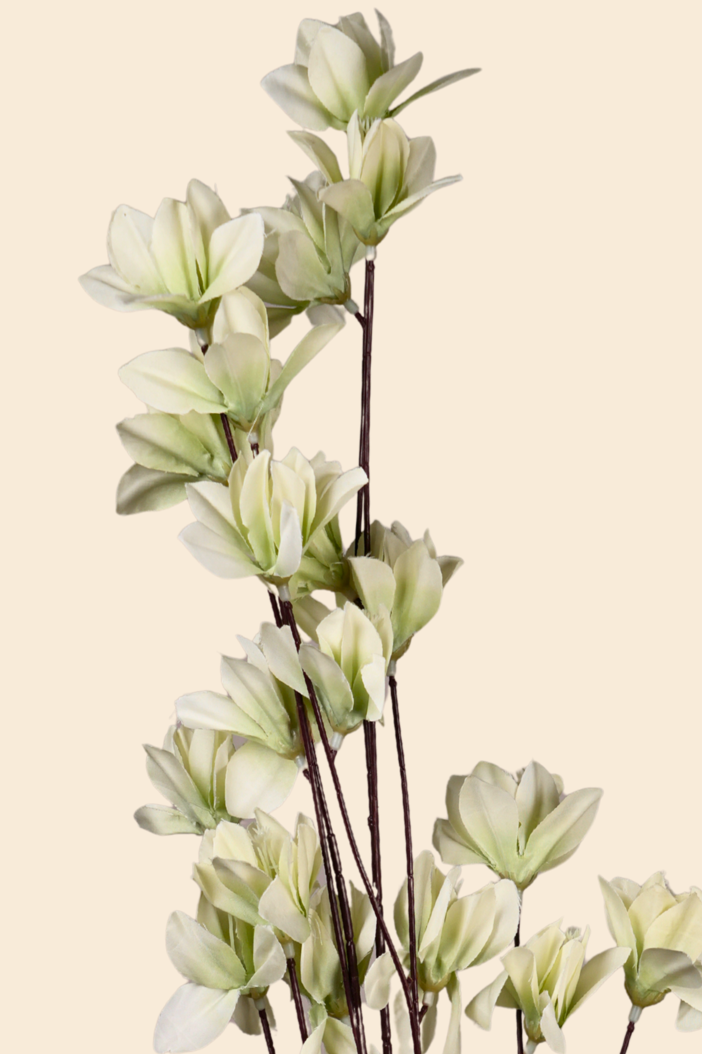 Faux Magnolia Spray Yulan Flower Stem - Mint Green