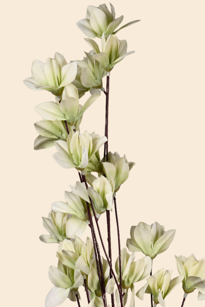 Faux Magnolia Spray Yulan Flower Stem - Mint Green