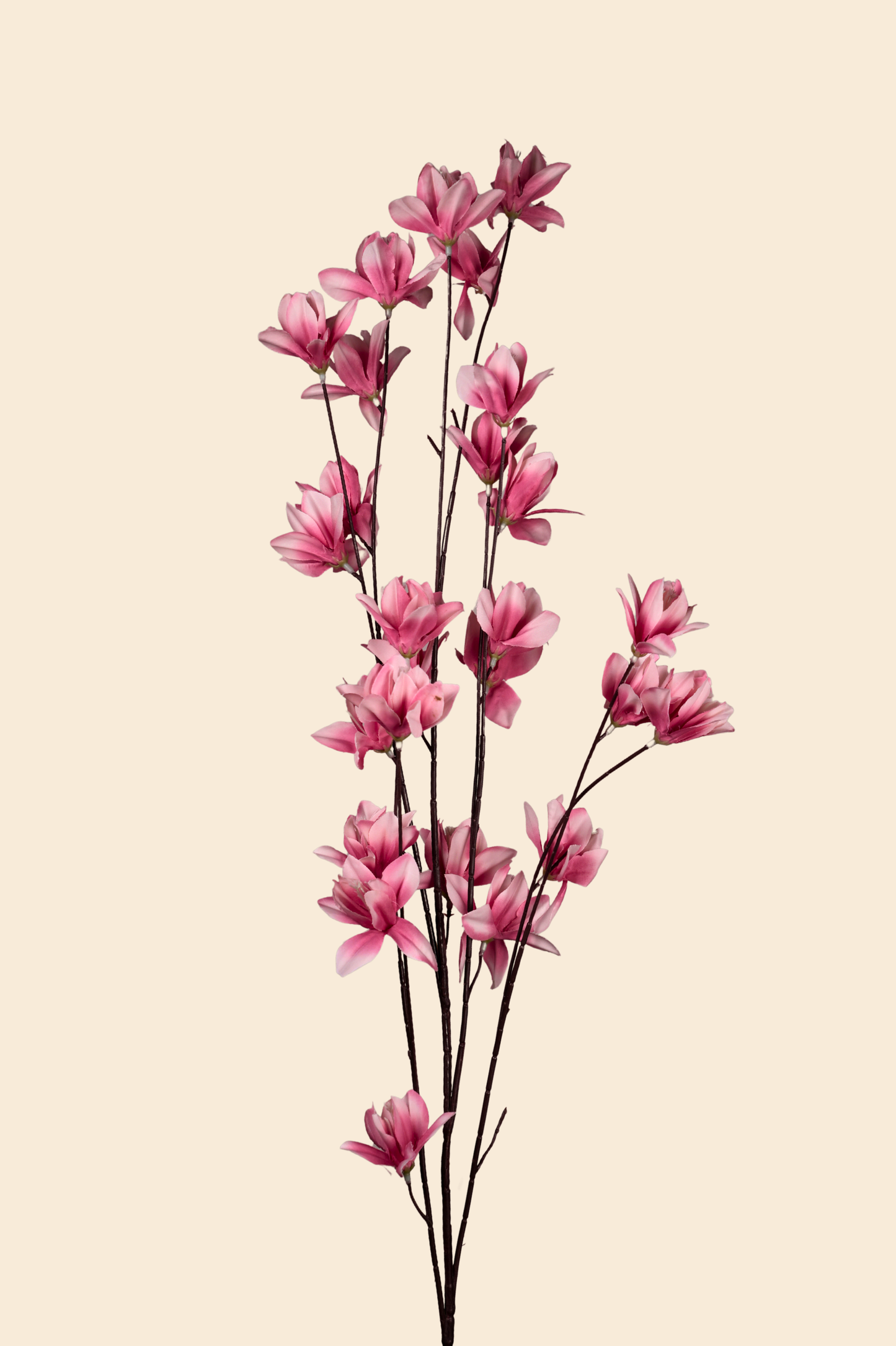Faux Magnolia Spray Yulan Flower Stem - Pink